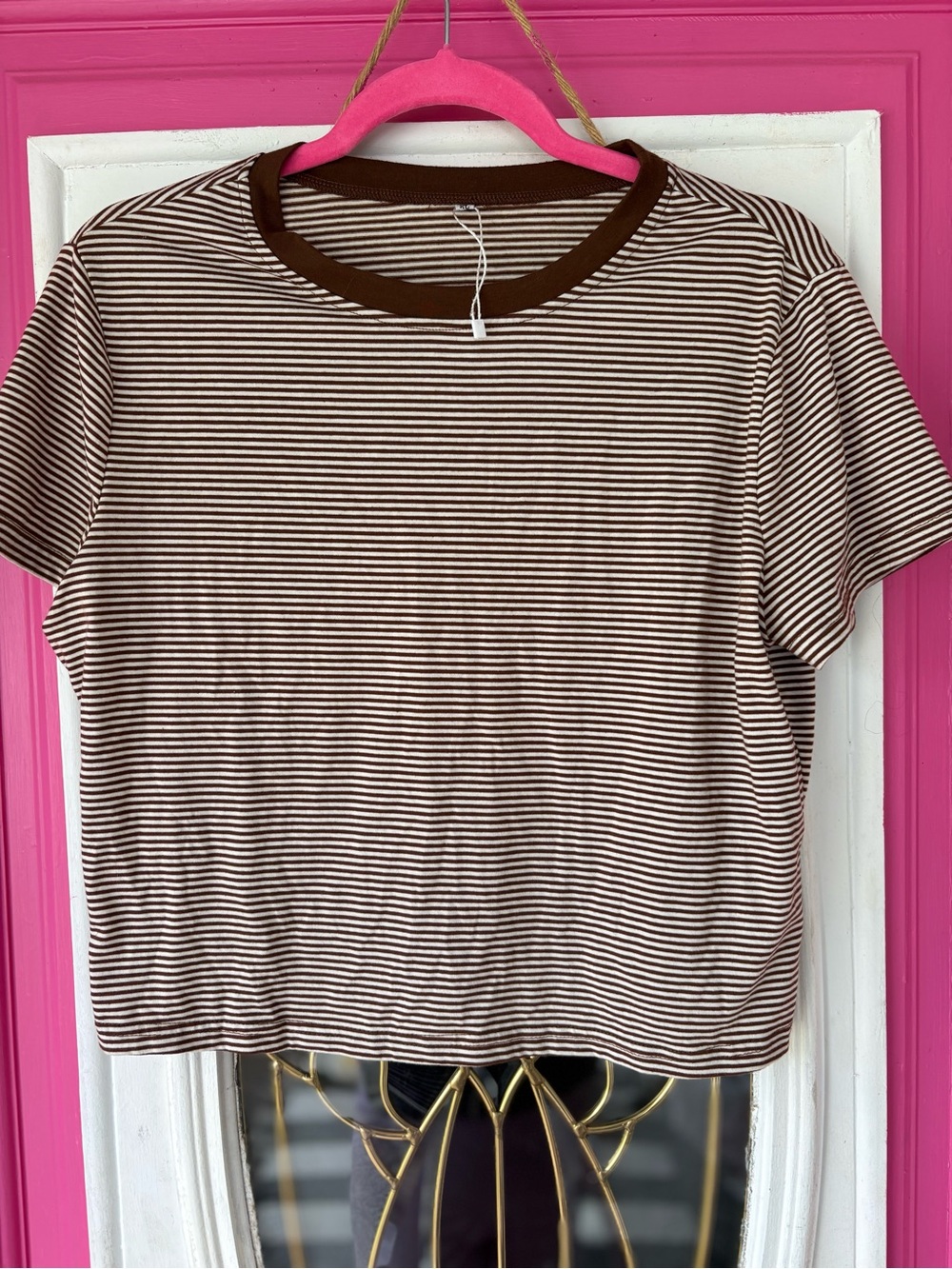 Amazon Striped Brown & Cream Crop Tee